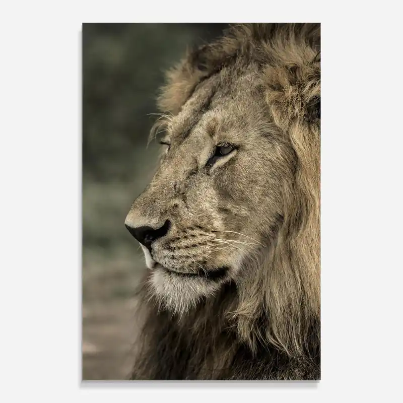 Neuheit Glasbild Close Up Male