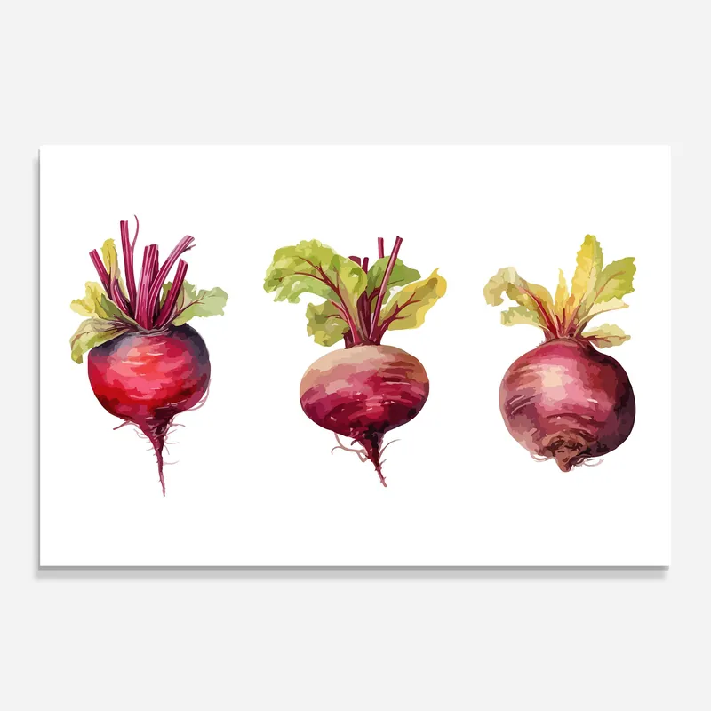 Glasbild Radish Art Expressversand