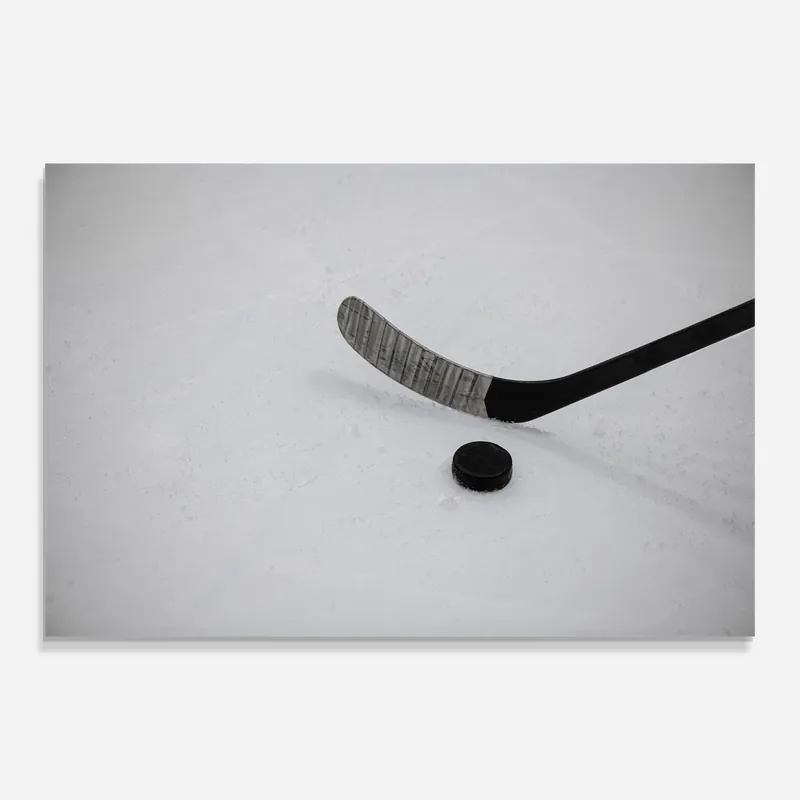 Kostenfreie Lieferung Glasbild Hockey Puck