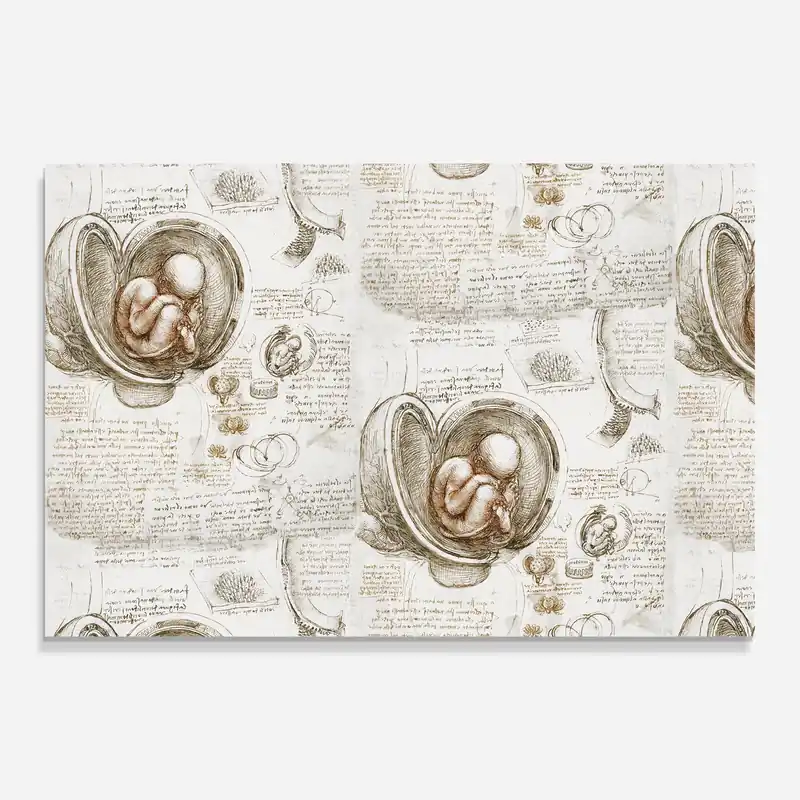 Finale Aktion Glasbild Leonardo Studies Of The Foetus