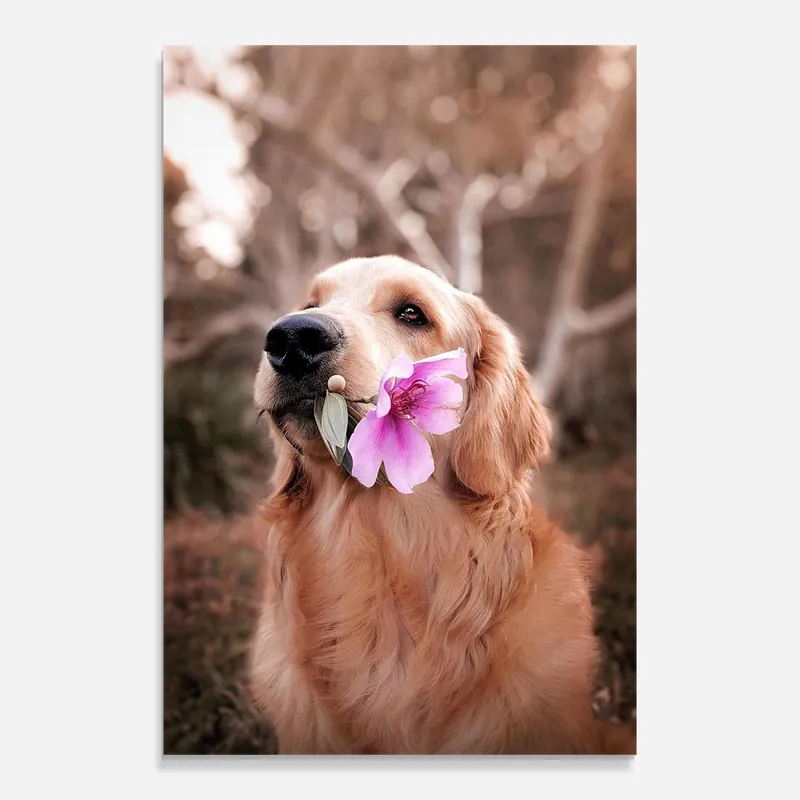 Glasbild Flower Dog Versand Am Gleichen Tag