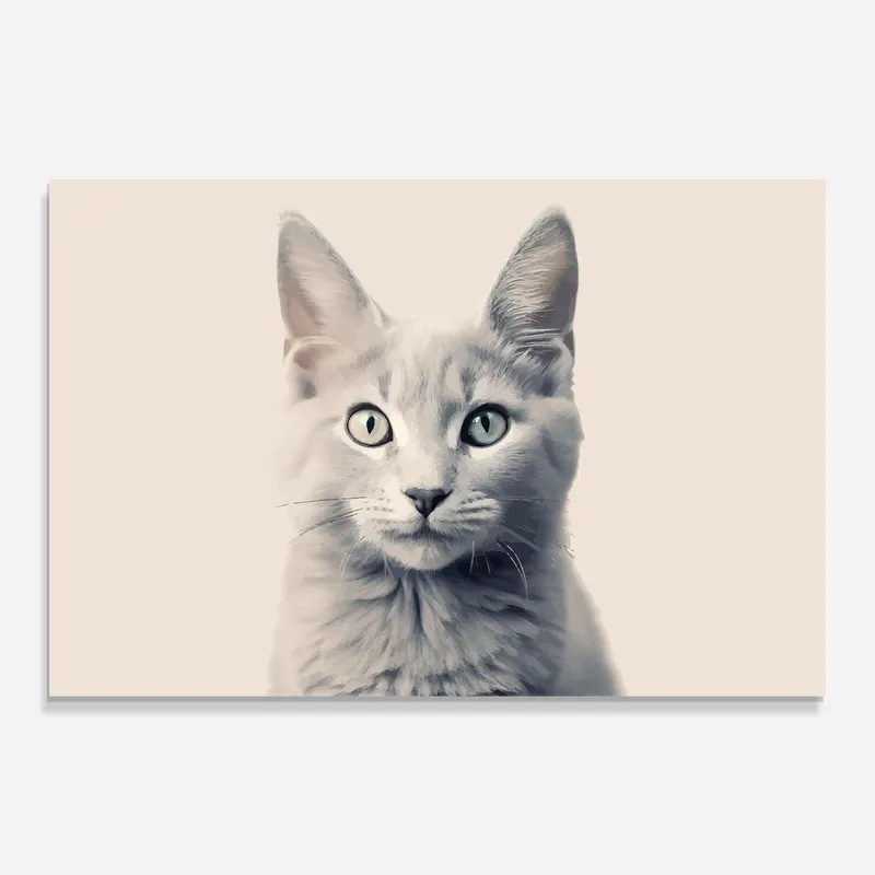 Glasbild Pretty Grey Cat Mega-Angebot