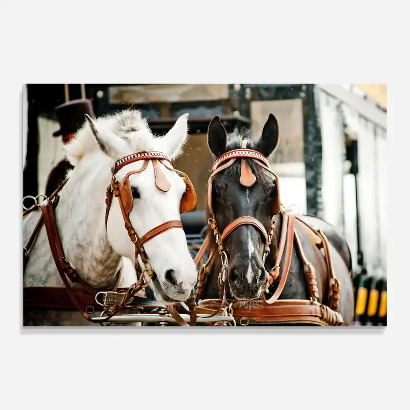 Angebot Glasbild Horse Carriage