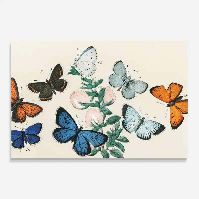 Glasbild Moving Butterflies Schnäppchen