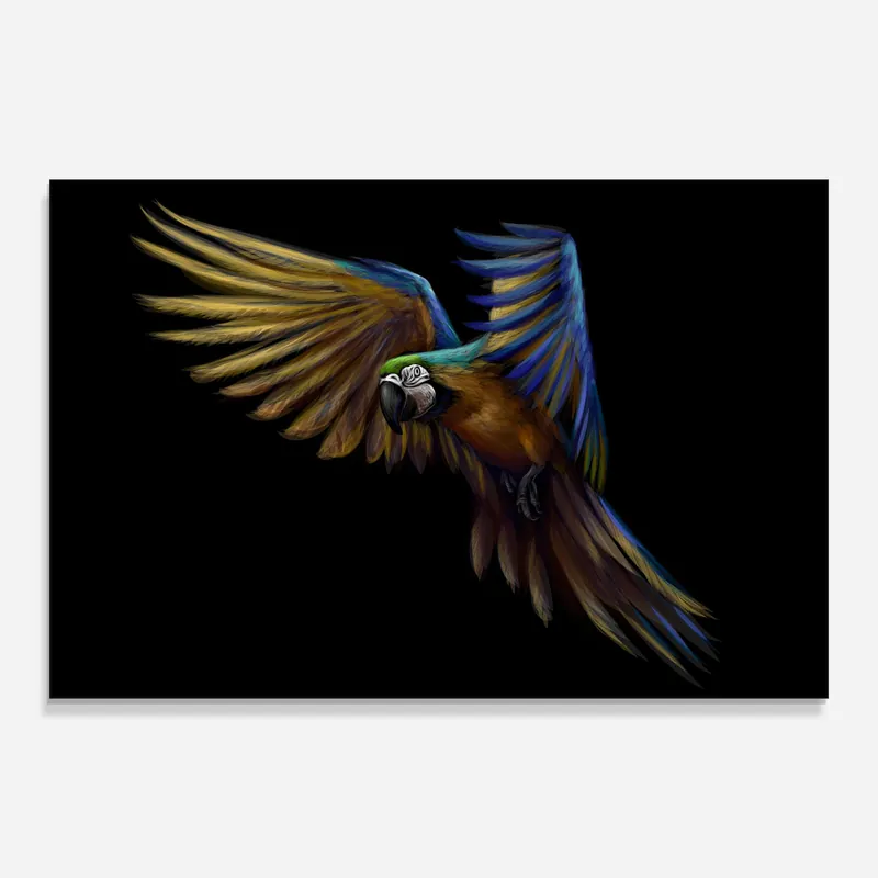 Glasbild Parrot Flying Wochenendangebot