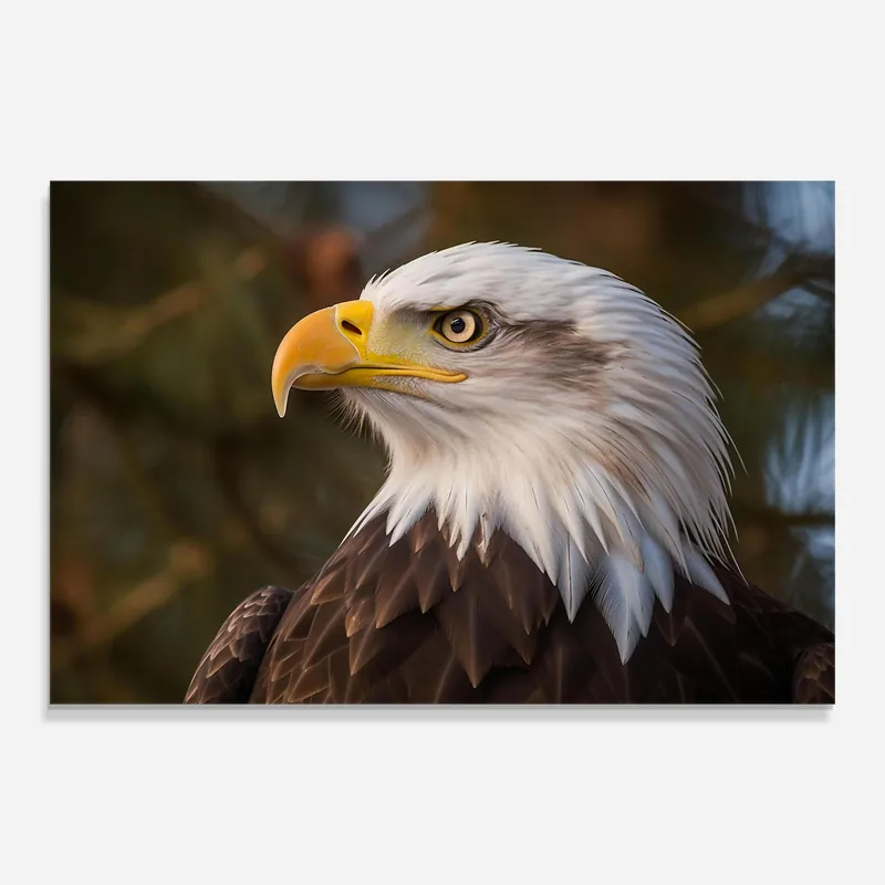 Must-Have Glasbild Pretty Wild Eagle