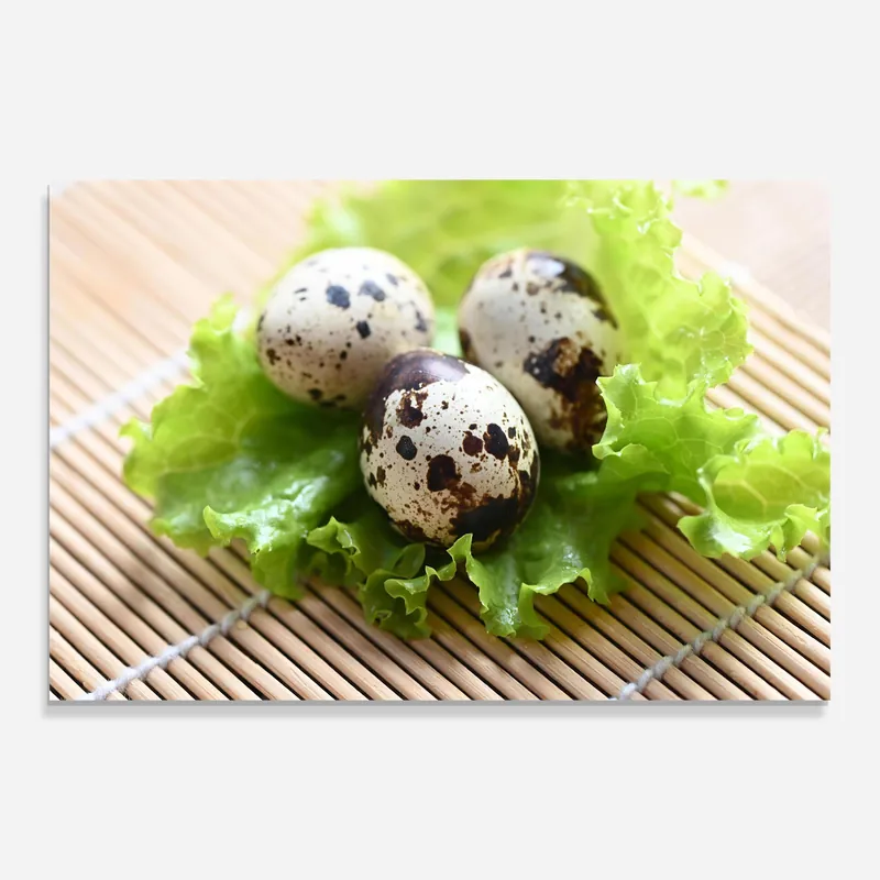 Preiswert Glasbild Quail Eggs