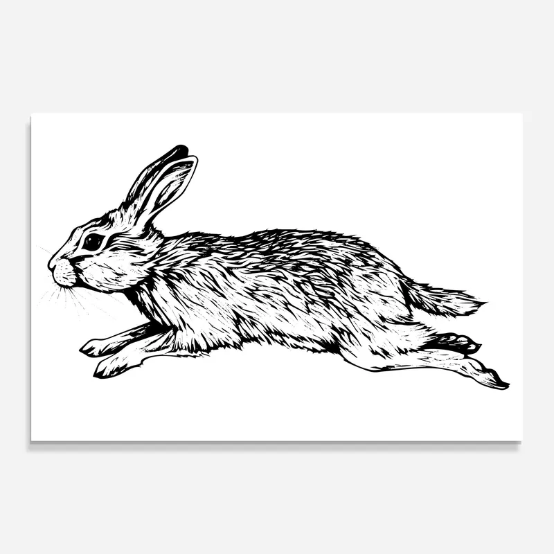 Top-Seller Glasbild Rabbit Jumping
