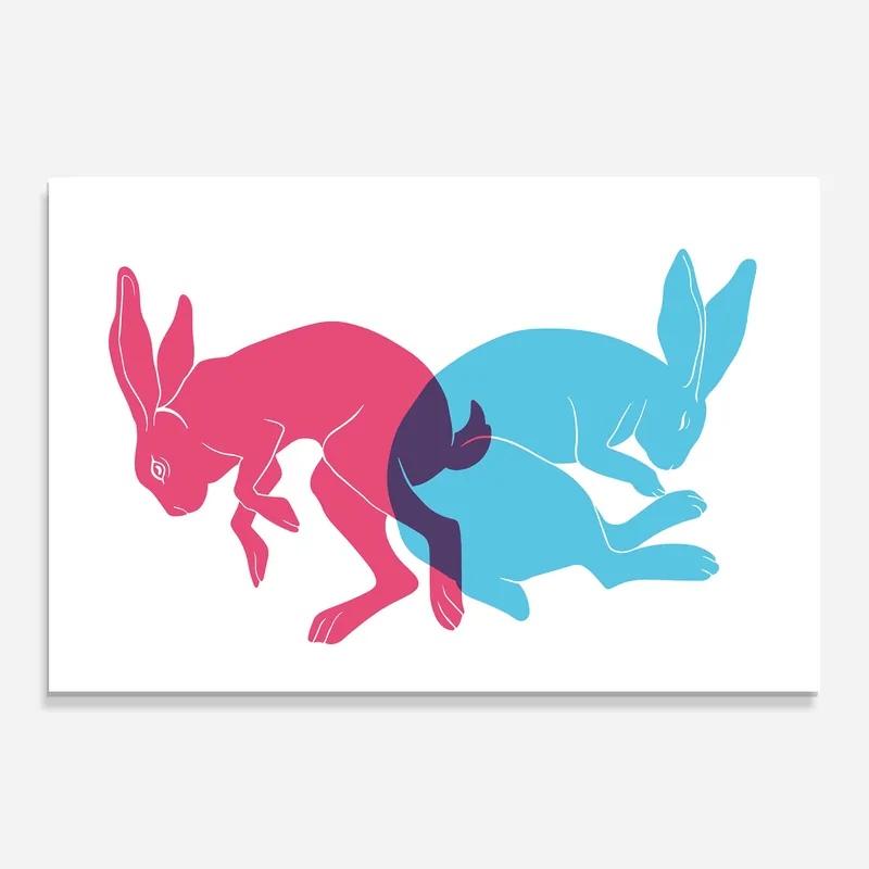 Glasbild Rabbits Riso Ausverkauf