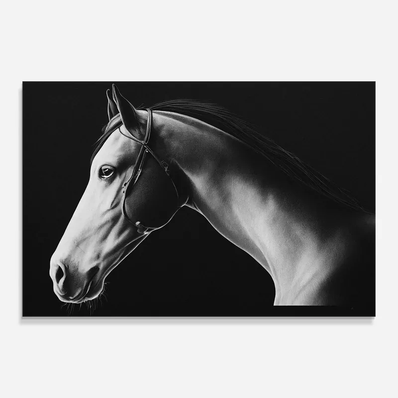 Glasbild Gray Horse Profile Bestseller