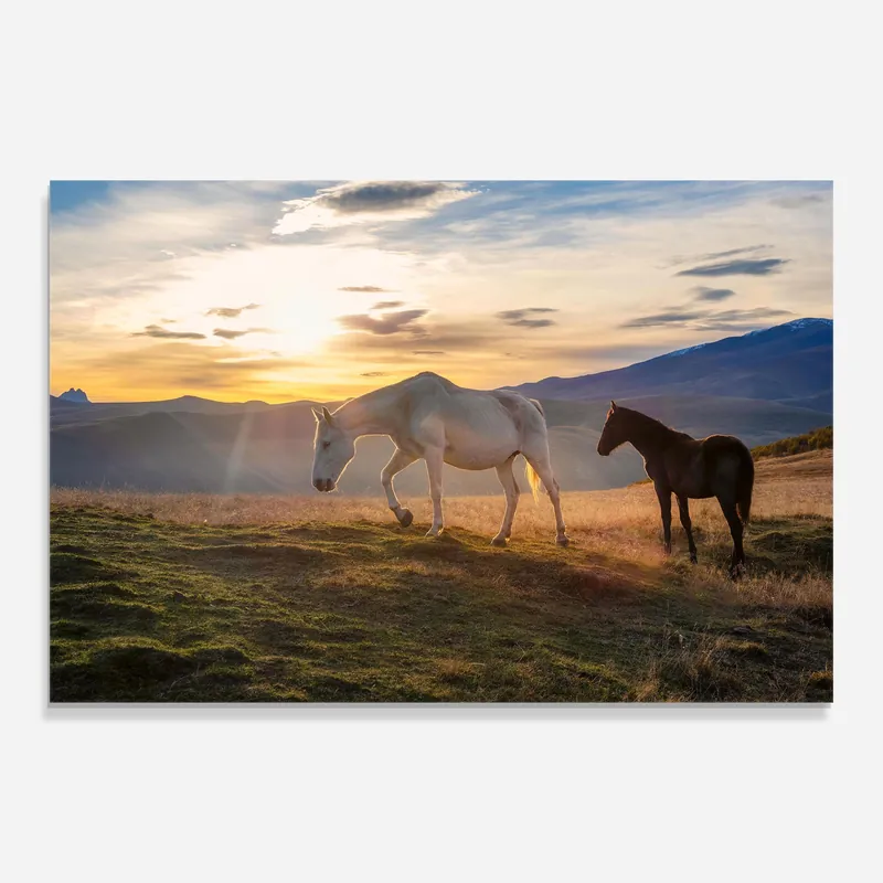 Glasbild Mountain White Horse Top-Seller