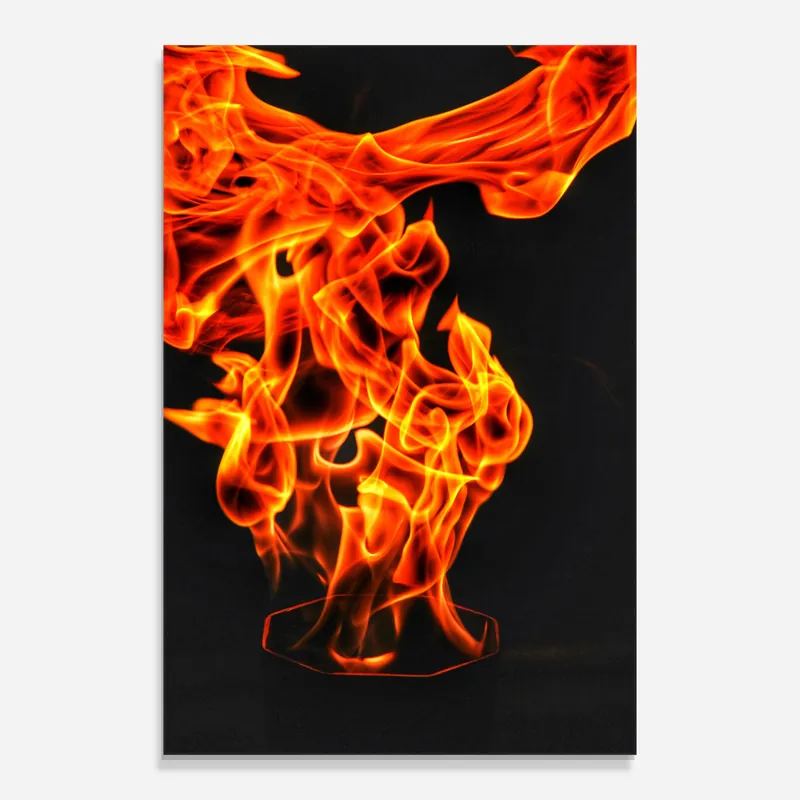 Heißes Angebot Glasbild Phoenix Heat Dance