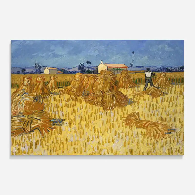 Glasbild Corn Harvest Finale Aktion
