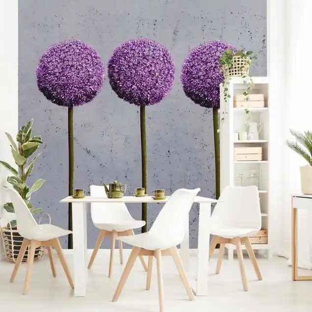 Markenware Allium Kugel-Blüten Fototapete • Vliestapete + Kleister • hergestellt in Deutschland