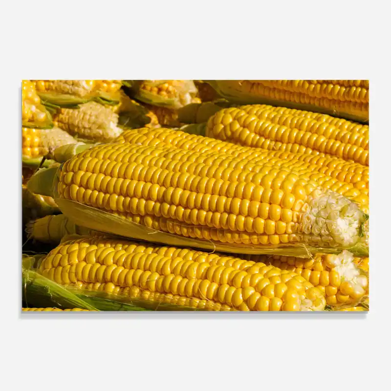 Angebot Glasbild Strong Yellow Corn
