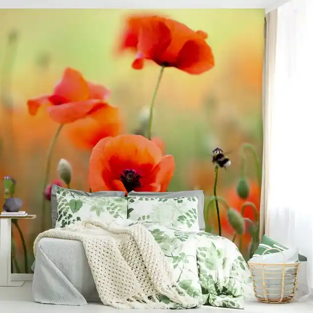 Roter Sommermohn Fototapete • Vliestapete + Kleister • hergestellt in Deutschland Garantierte Lieferung