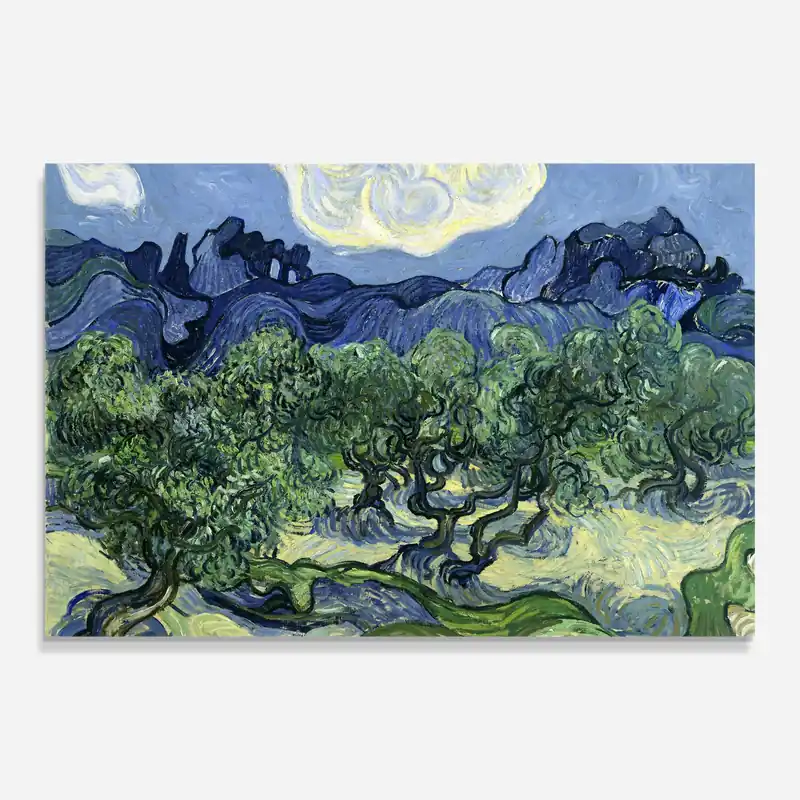 Glasbild Olive Trees Alpilles Kostenloser Rückversand