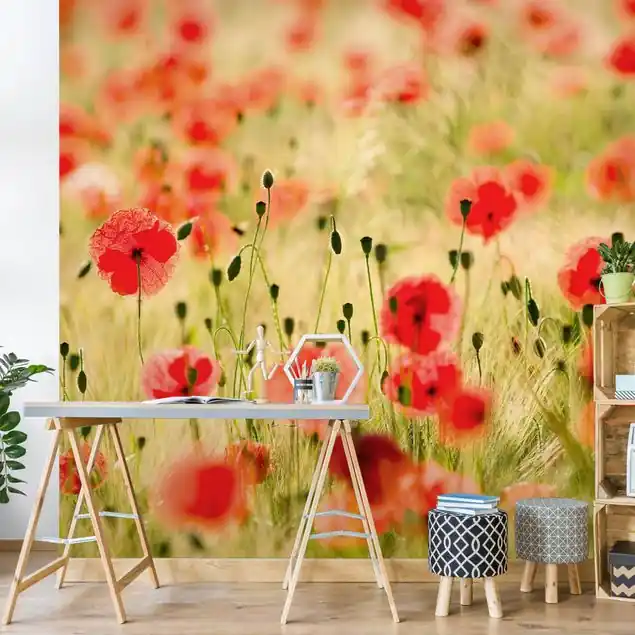 Schneller Versand Summer Poppies Fototapete • Vliestapete + Kleister • hergestellt in Deutschland