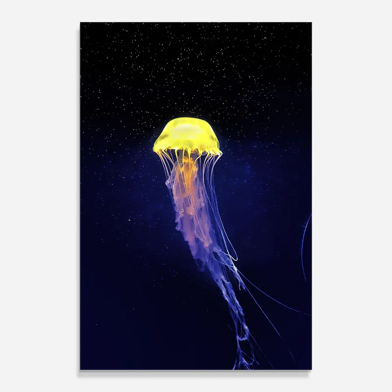 Expressversand Glasbild Purple Jellyfish