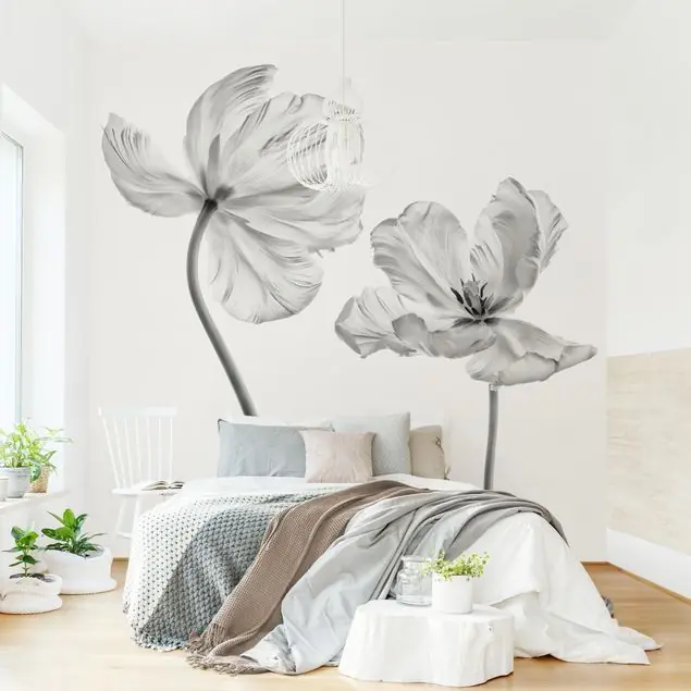 Must-Have Zwei zarte weiße Tulpen Fototapete • Vliestapete + Kleister • hergestellt in Deutschland