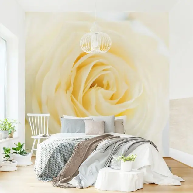 White Rose Fototapete • Vliestapete + Kleister • hergestellt in Deutschland Begrenztes Angebot