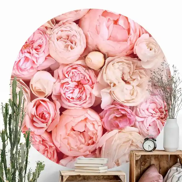 Rosen Rosé Koralle Shabby Runde Fototapete Günstig
