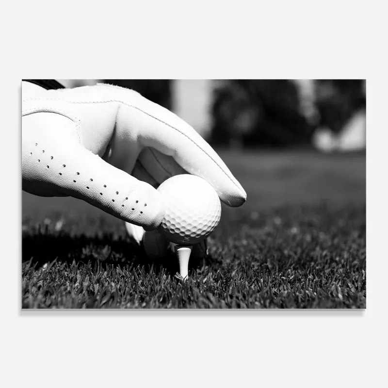 Glasbild Holding Golf Ball Sonderaktion