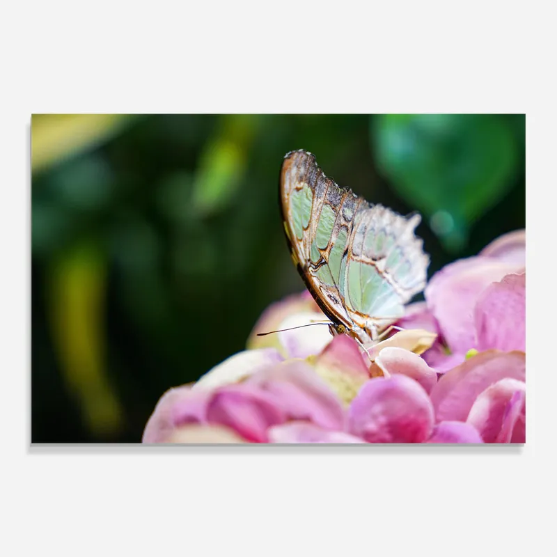 Zertifiziert Glasbild Nazrin Babashova Diuumqmfwys Unsplash