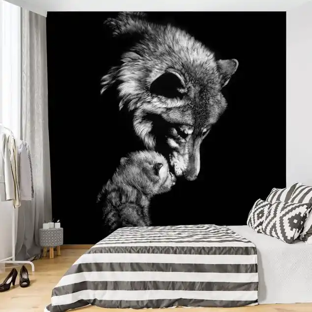 Wolf vor Schwarz Fototapete • Vliestapete + Kleister • hergestellt in Deutschland Bestpreis
