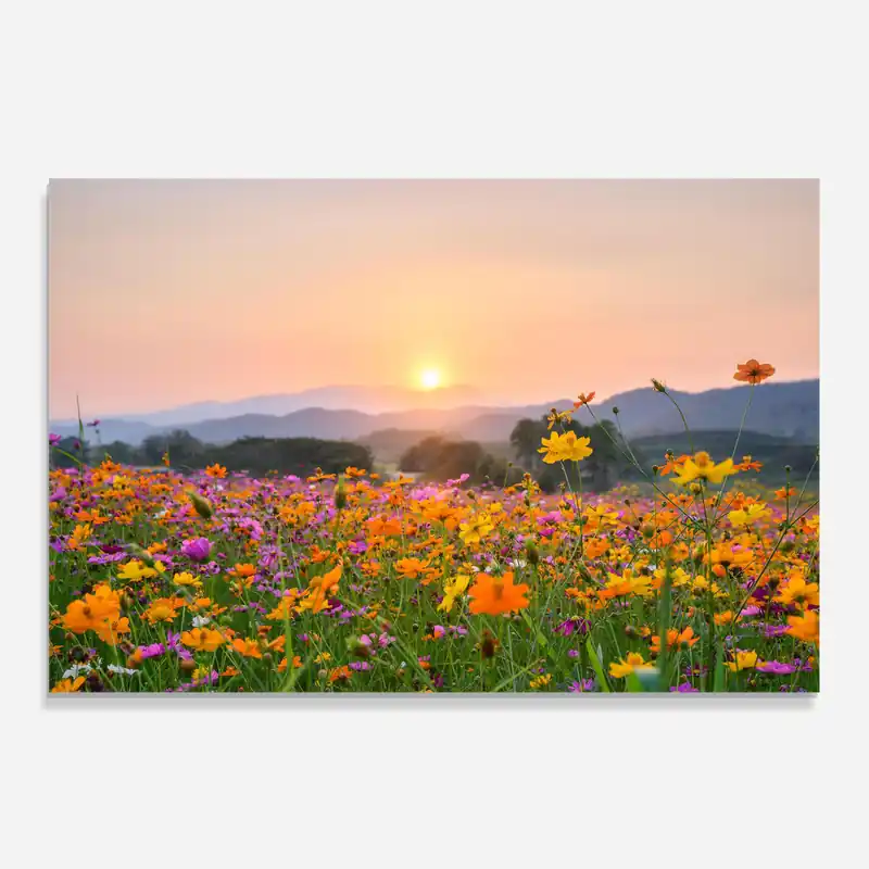 Neue Kollektion Küchenrückwand Glas Sunset Mountain Flowerf