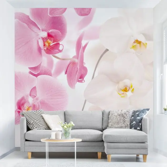 Delicate Orchids Fototapete • Vliestapete + Kleister • hergestellt in Deutschland Top-Seller