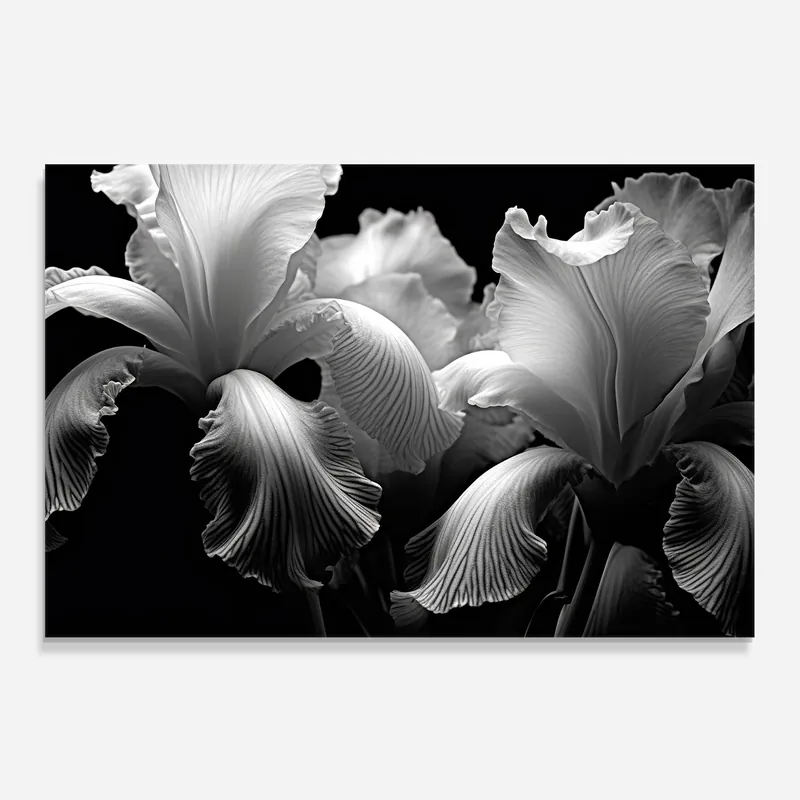 Küchenrückwand Glas Grey Iris Bestseller