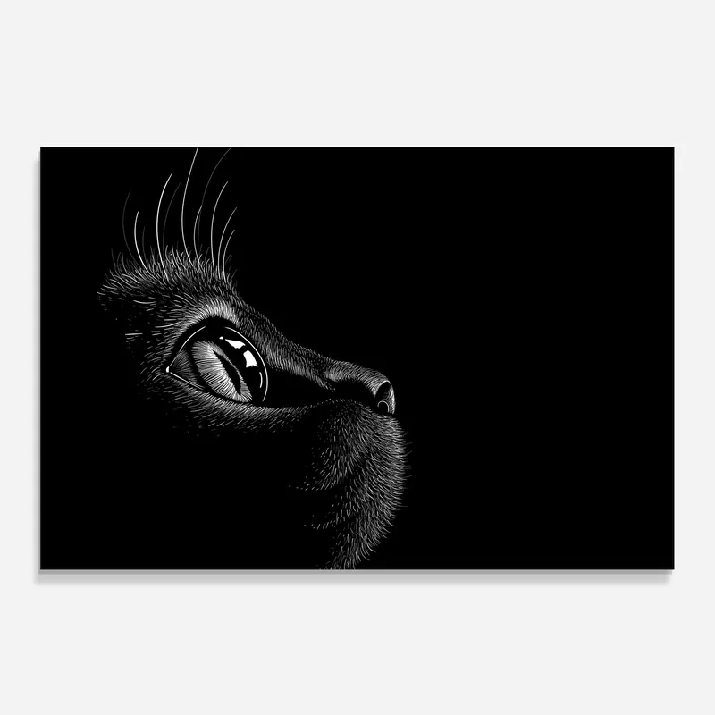 Küchenrückwand Glas Glass Eye Cat Nur Für Kurze Zeit