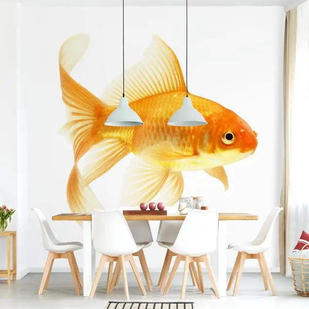 Frau Goldfisch Fototapete • Vliestapete + Kleister • hergestellt in Deutschland Günstig