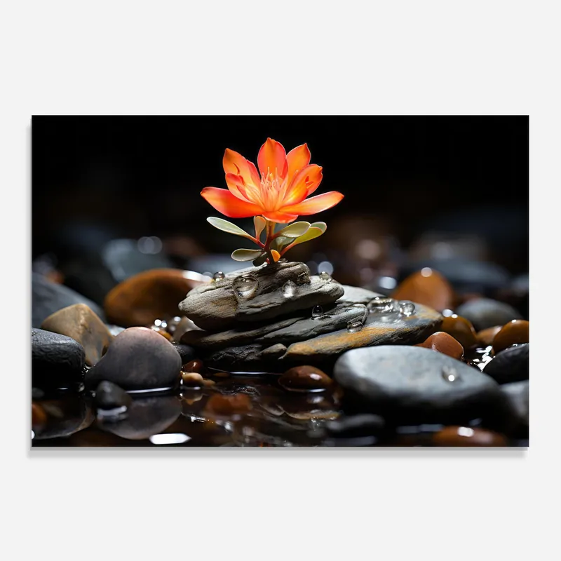 Küchenrückwand Glas Orange Flower Stone Ausverkauf