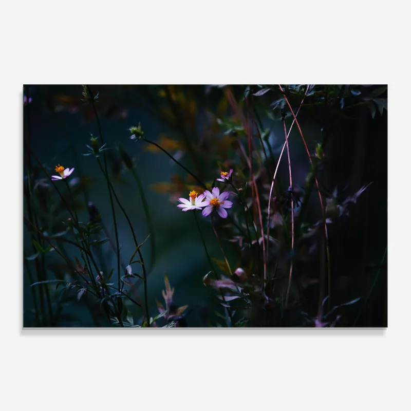 Garantierte Lieferung Küchenrückwand Glas Night Flowers
