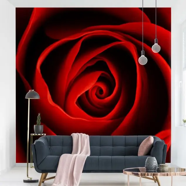 Liebliche Rose Fototapete • Vliestapete + Kleister • hergestellt in Deutschland Preisknaller