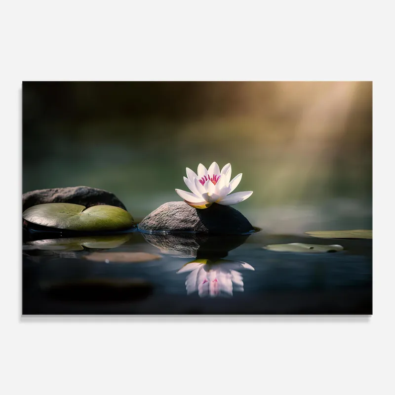 Versand Am Gleichen Tag Küchenrückwand Glas Grey Rock Lotus