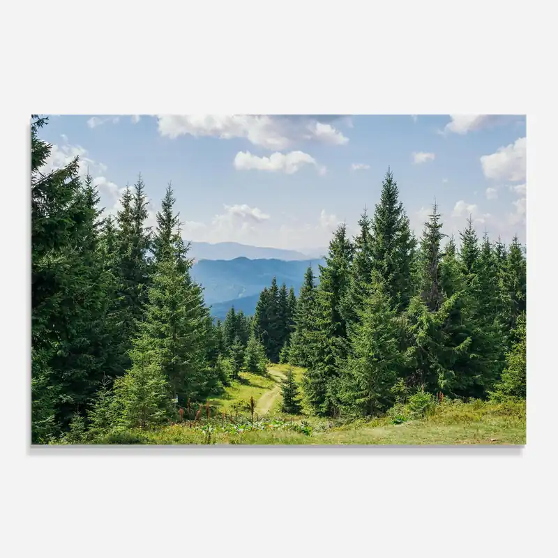 Preiswert Küchenrückwand Glas Carpathian Mountain