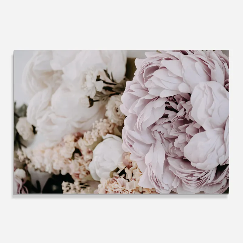Küchenrückwand Glas Grey Peony Bouquet Preisreduziert