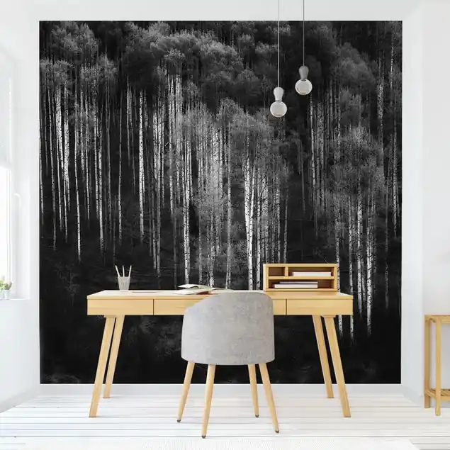 Birkenwald in Aspen Fototapete • Vliestapete + Kleister • hergestellt in Deutschland Wochenendangebot