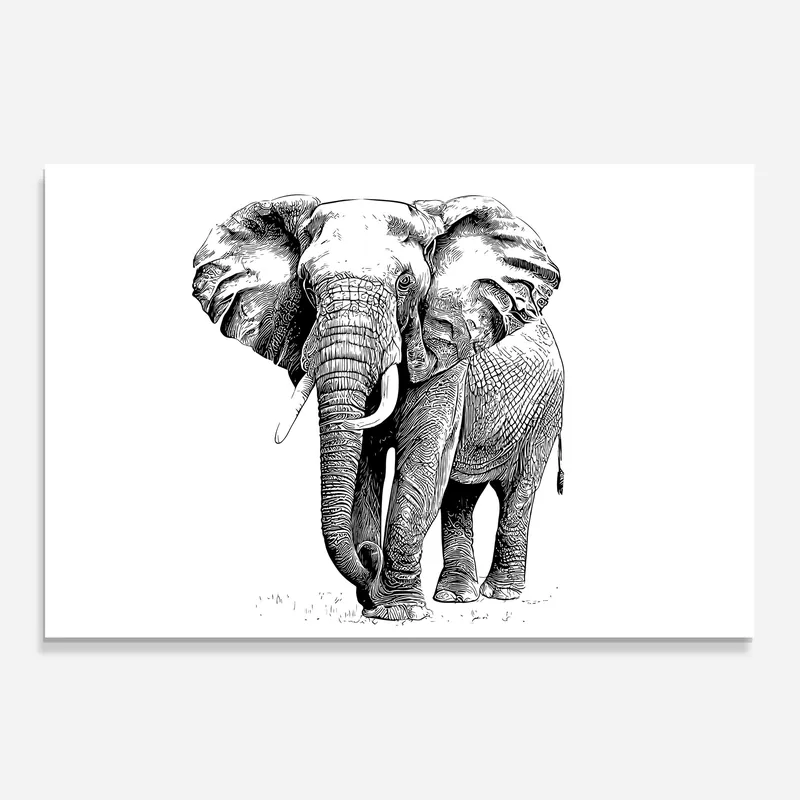Meistverkauft Küchenrückwand Glas Black Lines Elephant