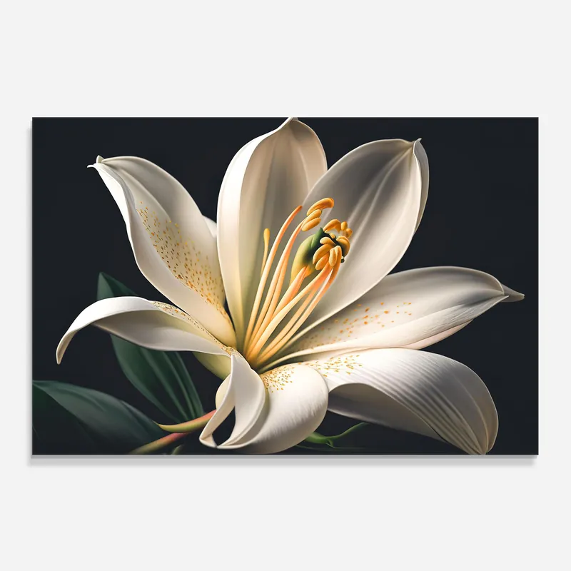 Küchenrückwand Glas Big Lily View Rabatt