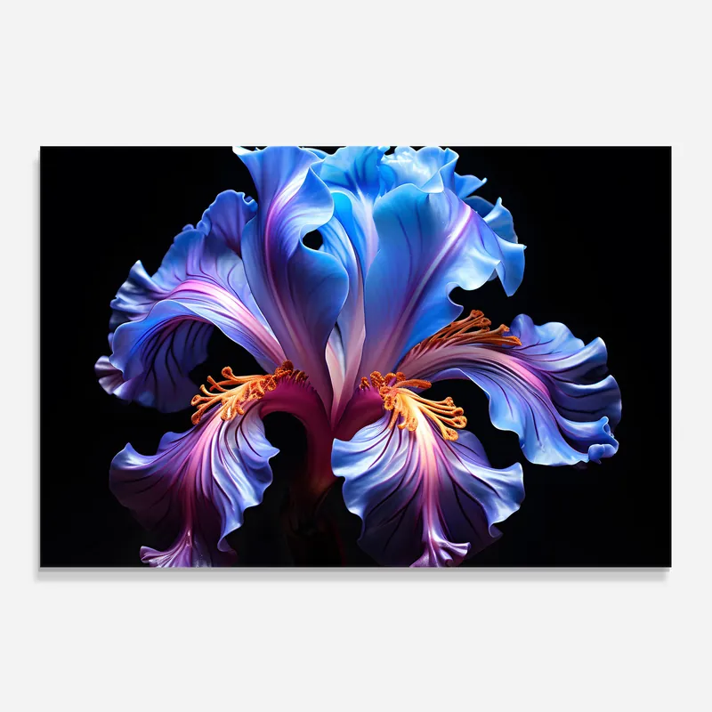 Bestpreis Küchenrückwand Glas Beautiful Iris On Black