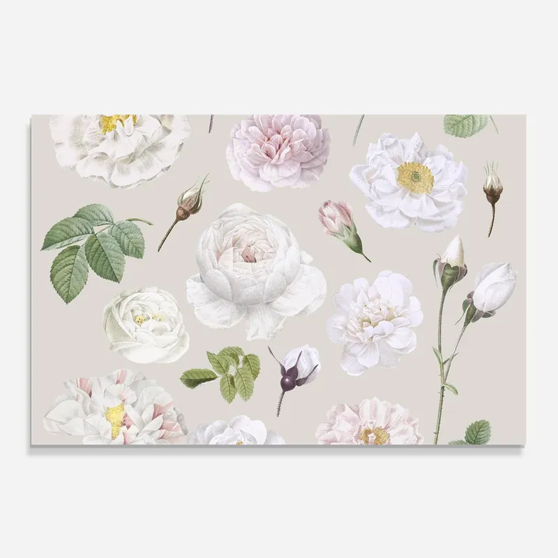 Sofort Bestellen Küchenrückwand Glas White Peony On Cream