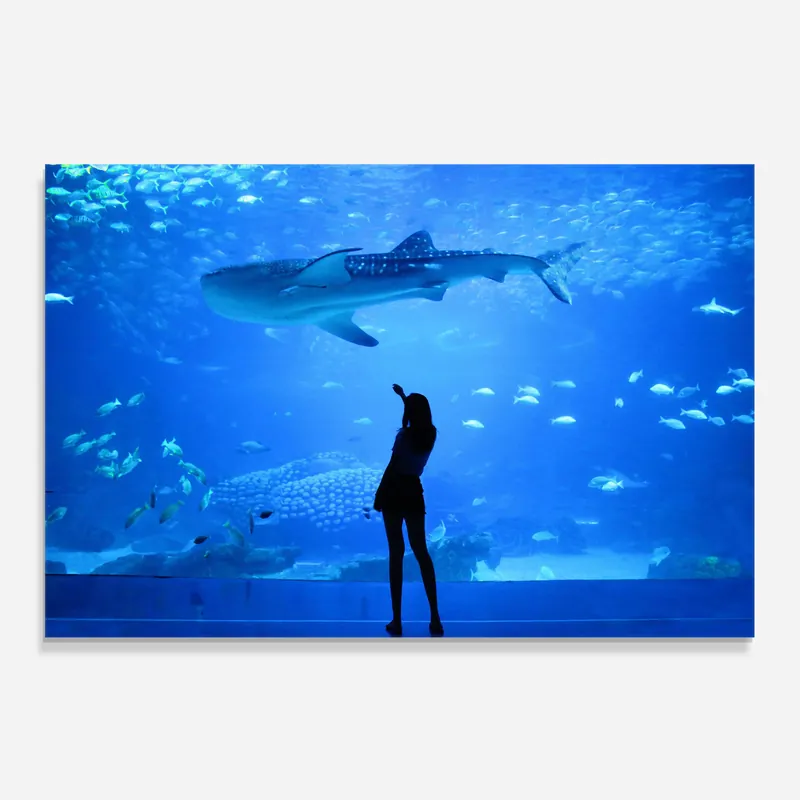 Finale Aktion Küchenrückwand Glas Aquarium Girl