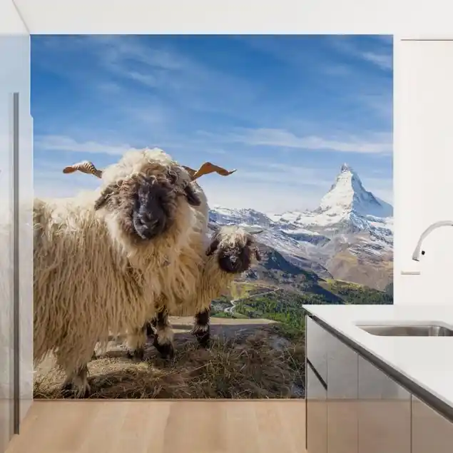 Zertifiziert Schwarznasenschafe von Zermatt Fototapete • Vliestapete + Kleister • hergestellt in Deutschland