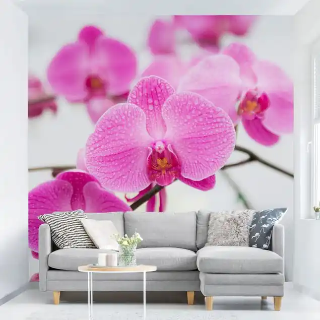 Bestseller Nahaufnahme Orchidee Fototapete • Vliestapete + Kleister • hergestellt in Deutschland