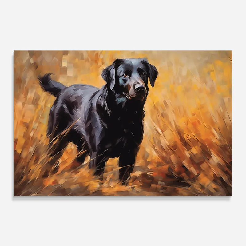 Küchenrückwand Glas Black Pretty Dog Abverkauf
