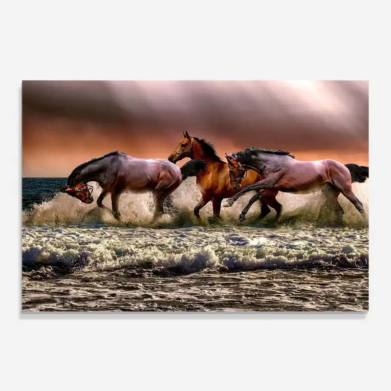 Schneller Versand Küchenrückwand Glas Horse In Sea